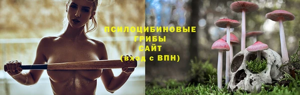 spice Алзамай