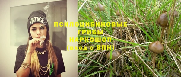 spice Алзамай