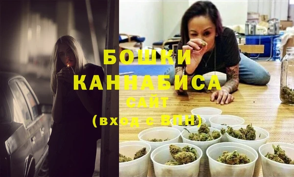 крисы Новозыбков