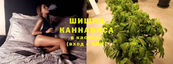 spice Алзамай