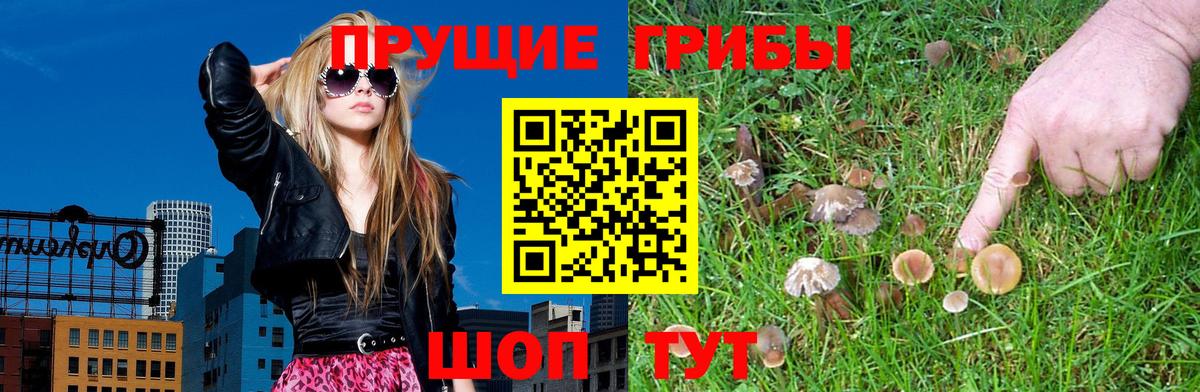 Томск  Псилоцибиновые грибы MAGIC MUSHROOMS  Галлюциногенные грибы Magic Shrooms  Вход с VPN 
